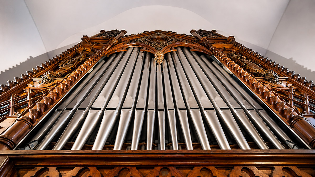 ano-festival-organ ANO festival - organ